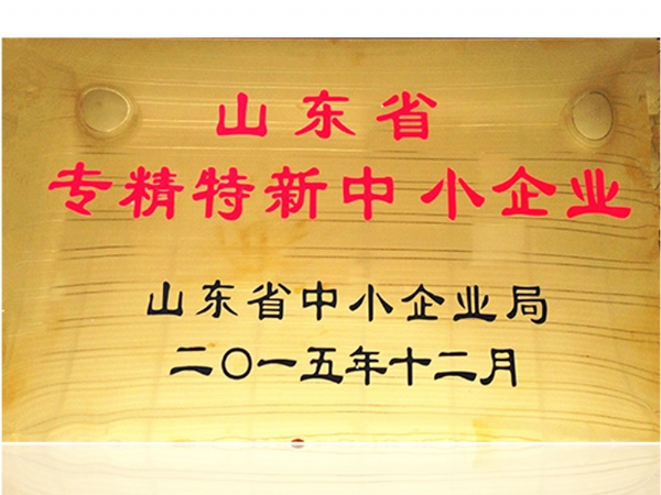 山東省專精特新中小企業