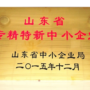 山東省專精特新中小企業